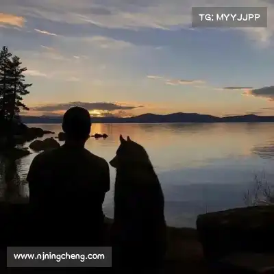 滕赛旗